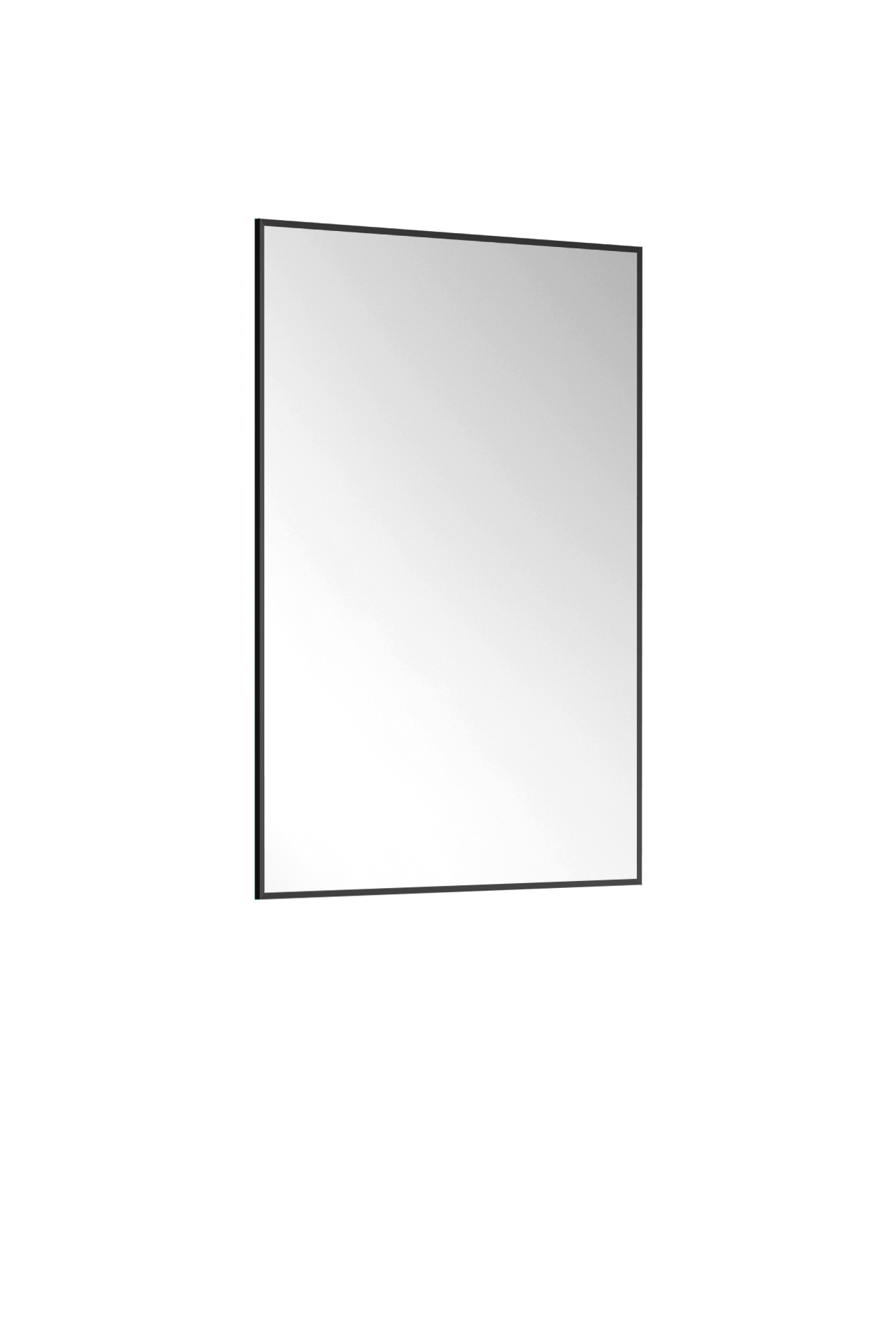 Зеркало Эко 50х80, принт черный матовый (19)