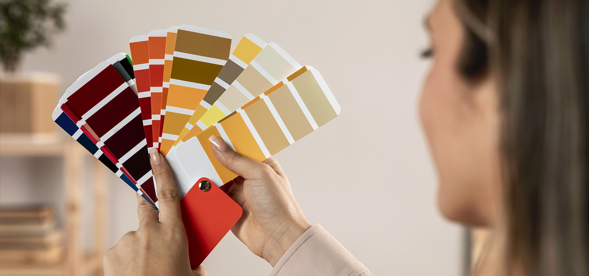 5NEWS_1920x700-px.jpg 5NEWS_1920x700-px.jpg