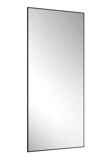 Зеркало Эко 60х130, принт черный матовый (19)