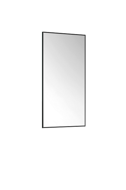 Зеркало Эко 40х80, принт черный матовый (19)